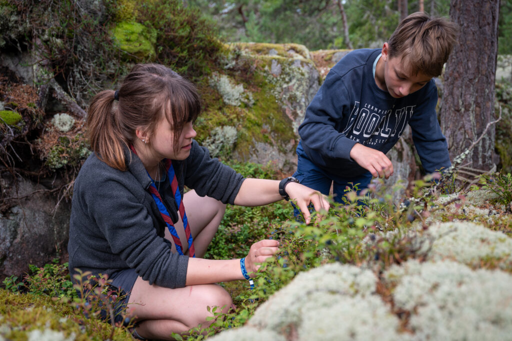Großfahrt Schweden - Blaubeeren Sammeln auf Vässarö